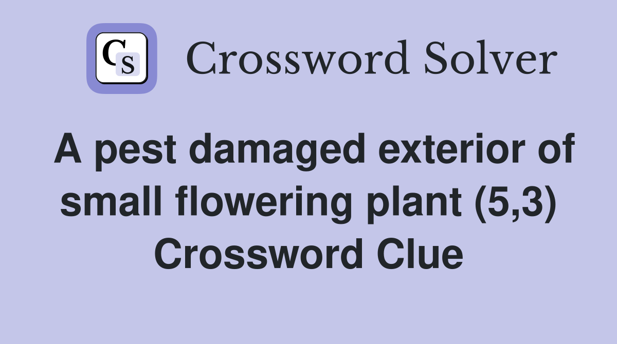 A pest damaged exterior of small flowering plant (5,3) Crossword Clue