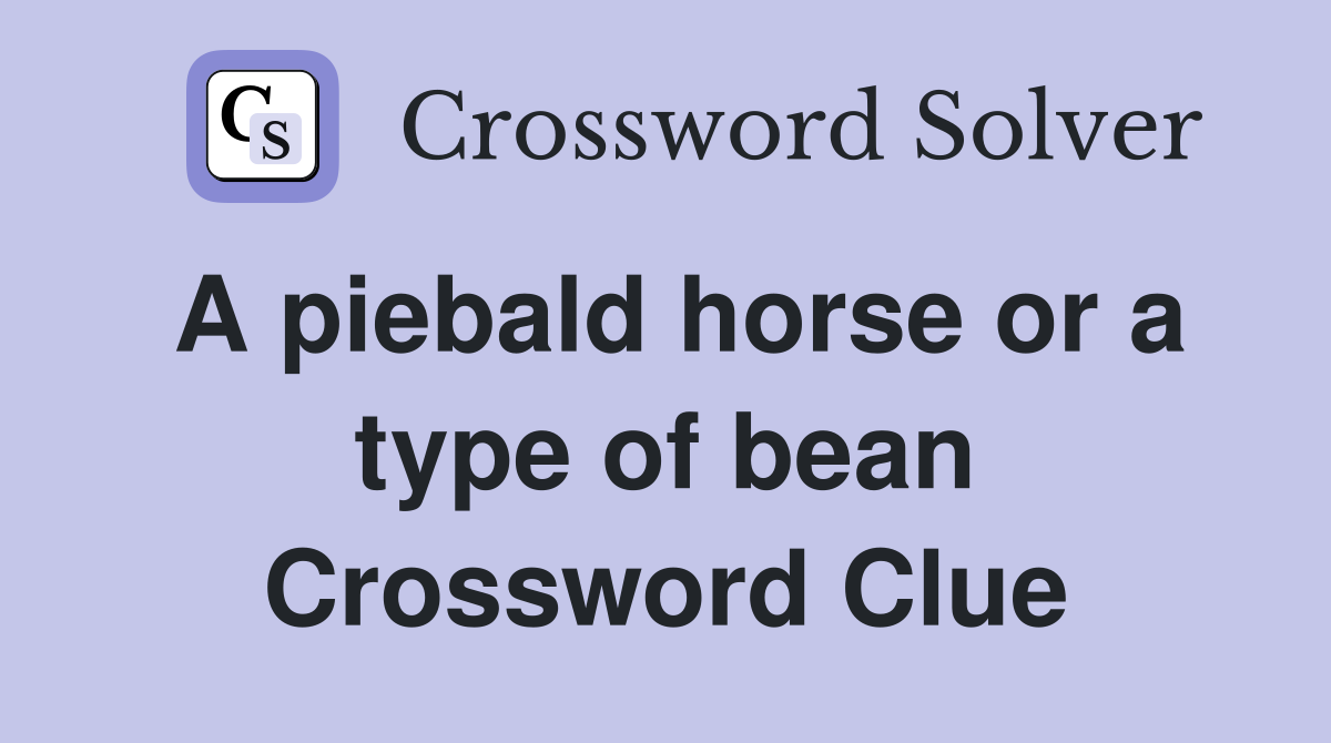 A piebald horse or a type of bean Crossword Clue