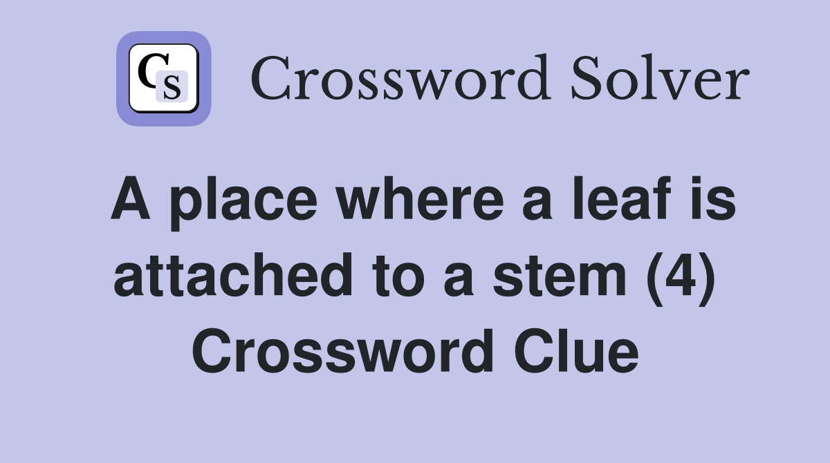 A place where a leaf is attached to a stem (4) Crossword Clue