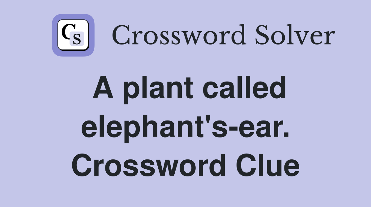 A plant called elephant's-ear. Crossword Clue