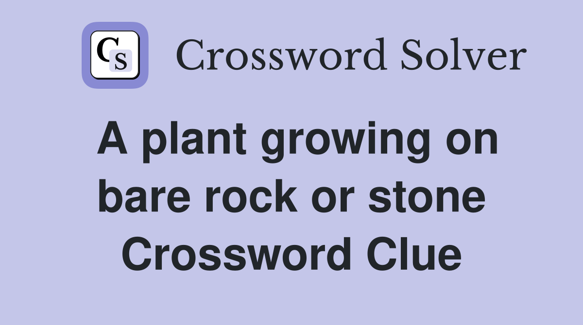 A plant growing on bare rock or stone Crossword Clue