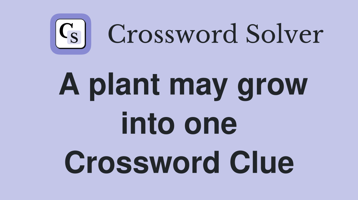 A plant may grow into one Crossword Clue