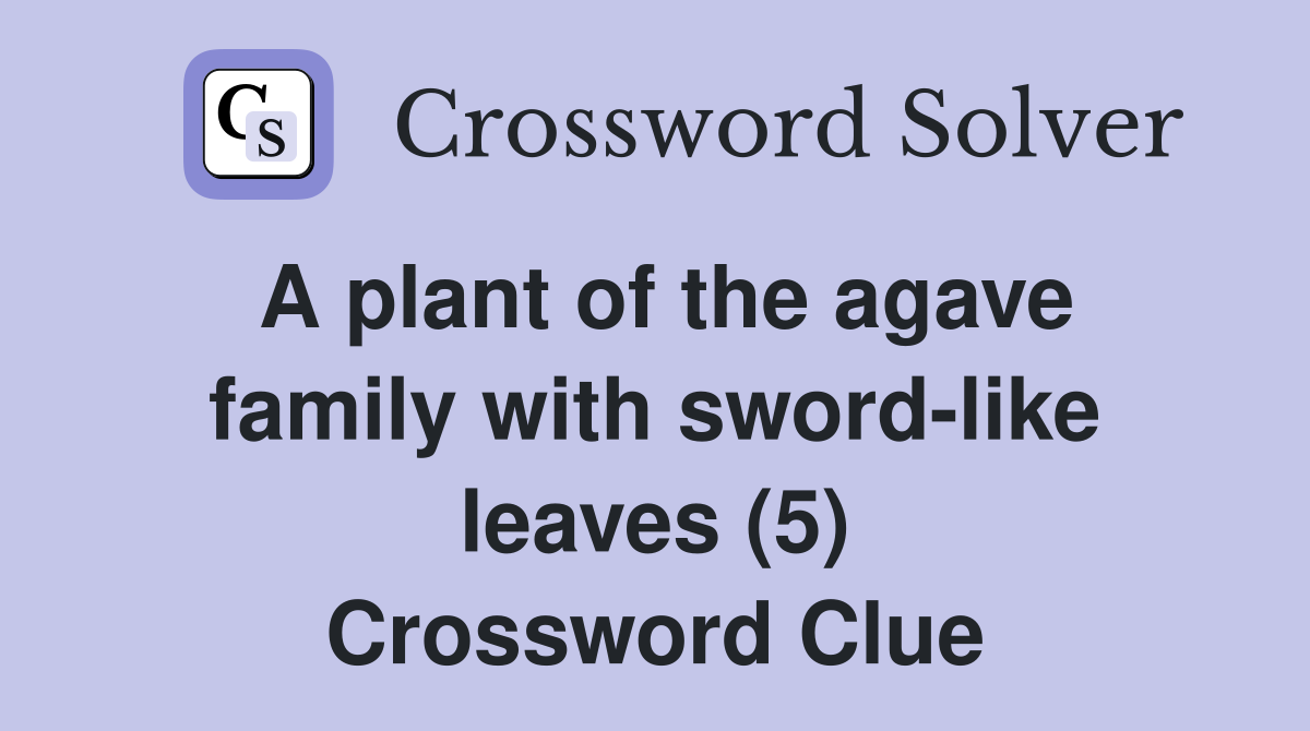 A plant of the agave family with sword-like leaves (5) Crossword Clue
