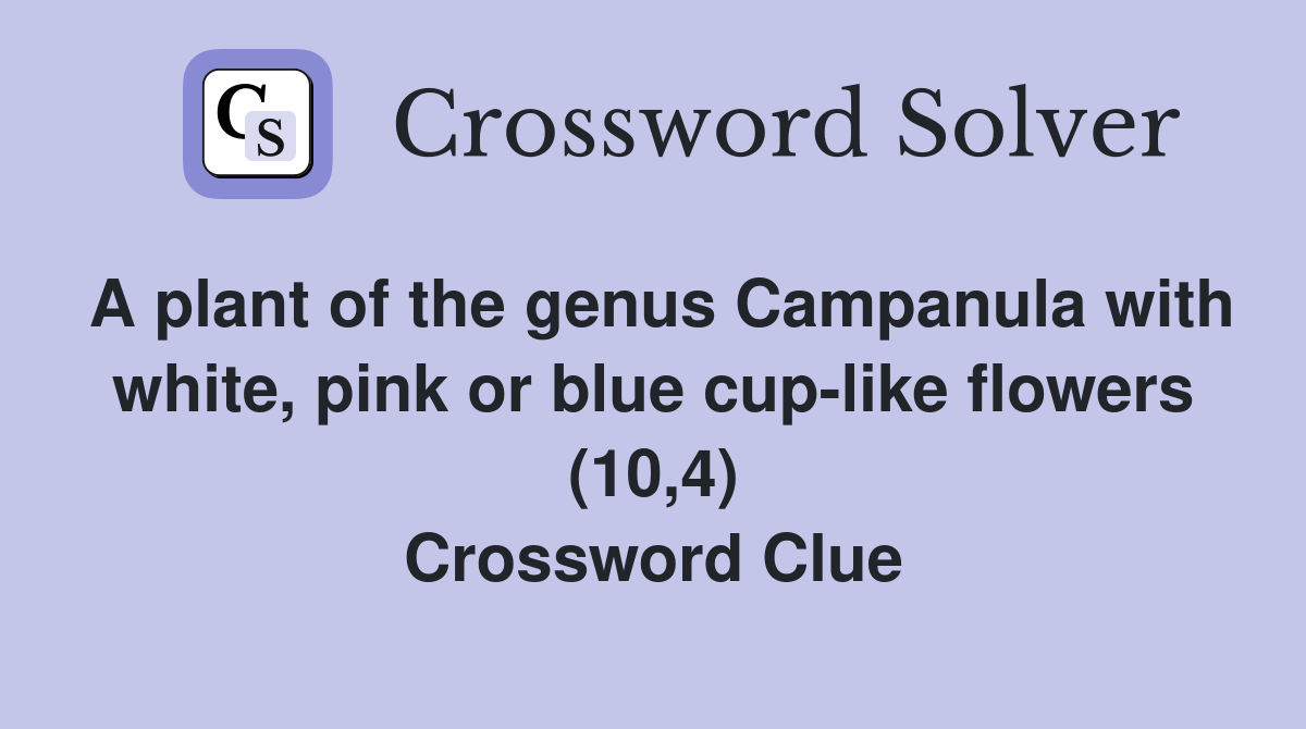 A plant of the genus Campanula with white, pink or blue cup-like flowers (10,4) Crossword Clue