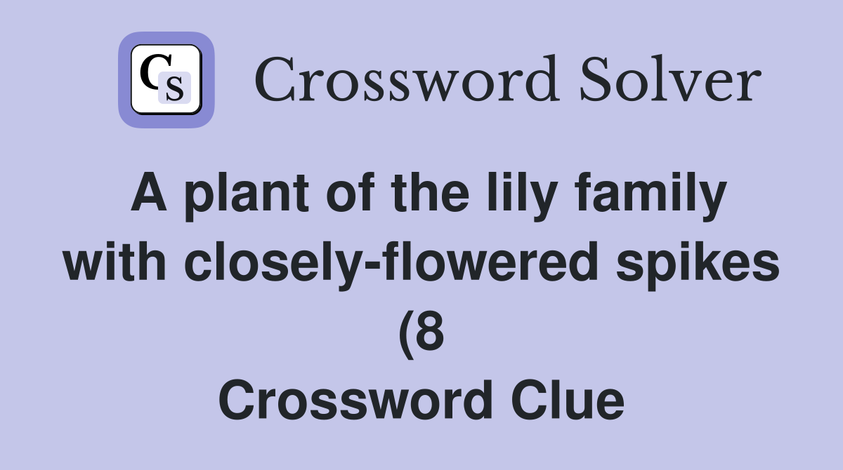 A plant of the lily family with closely flowered spikes (8) Crossword A plant of the lily family with closely flowered spikes (8) Crossword
