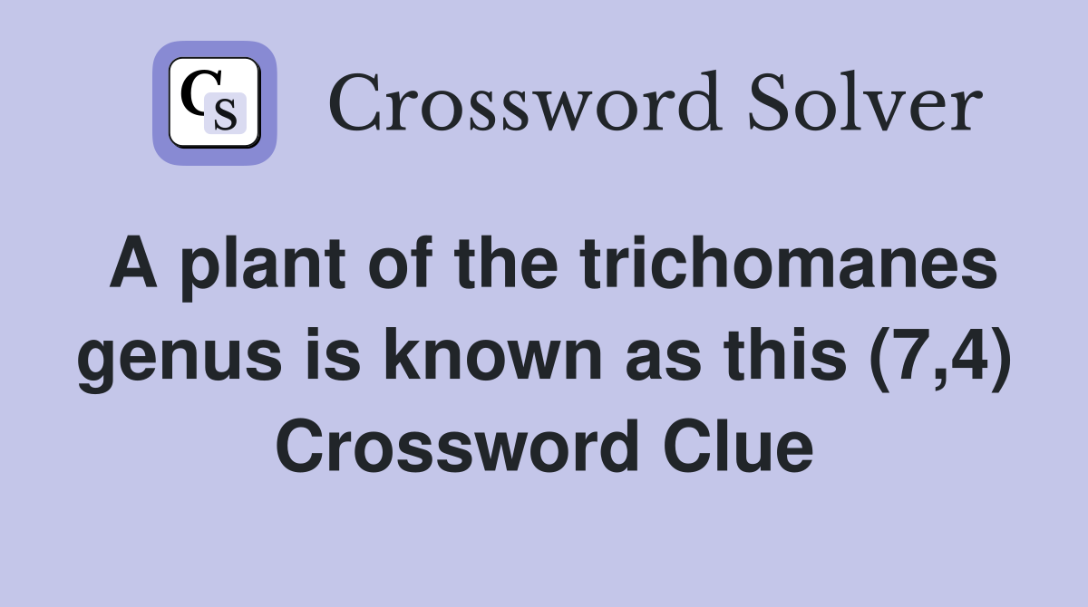 A plant of the trichomanes genus is known as this (7,4) Crossword Clue