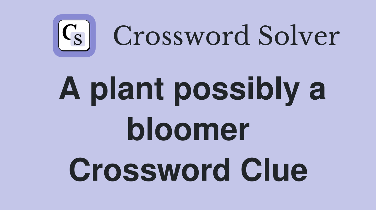 A plant possibly a bloomer Crossword Clue