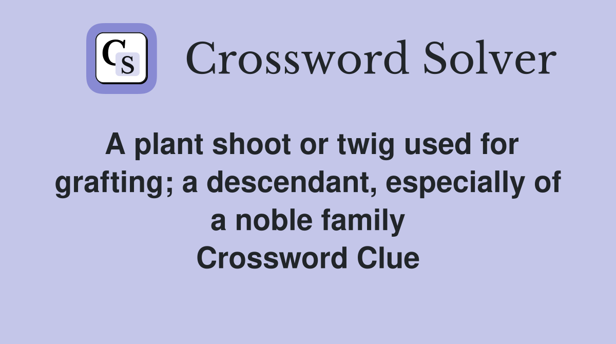 A plant shoot or twig used for grafting; a descendant, especially of a noble family Crossword Clue
