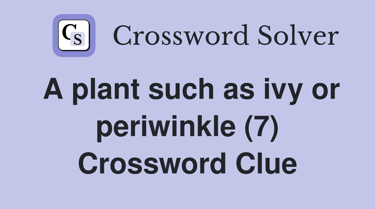 A plant such as ivy or periwinkle (7) Crossword Clue