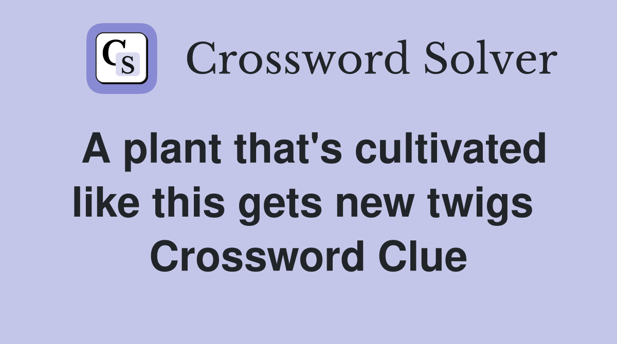 A plant that's cultivated like this gets new twigs  Crossword Clue