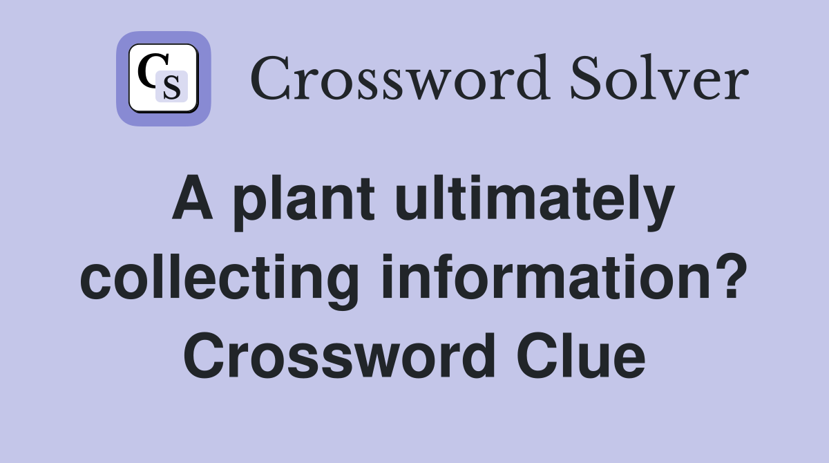 A plant ultimately collecting information? Crossword Clue