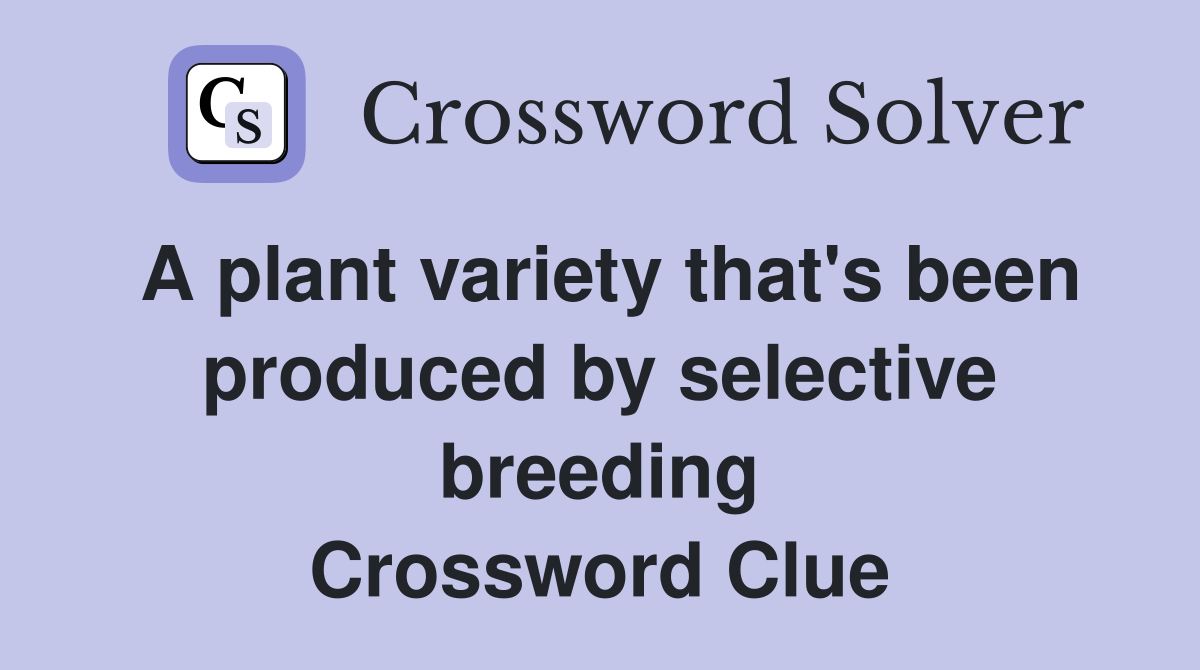 A plant variety that's been produced by selective breeding Crossword Clue