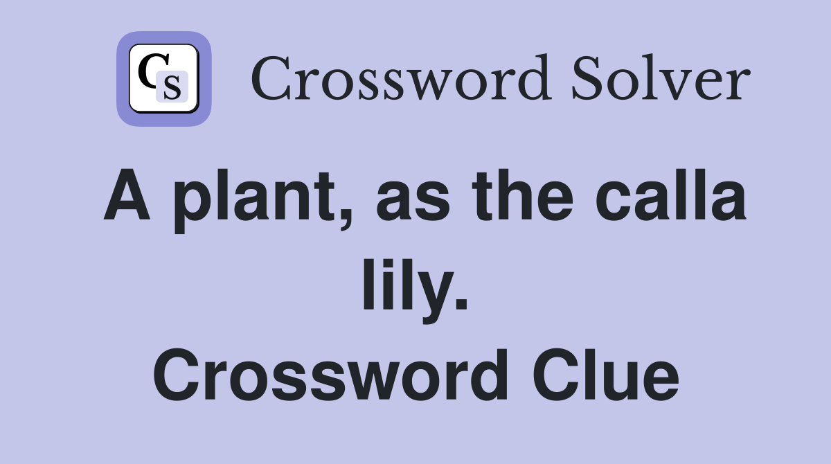 A plant, as the calla lily. Crossword Clue
