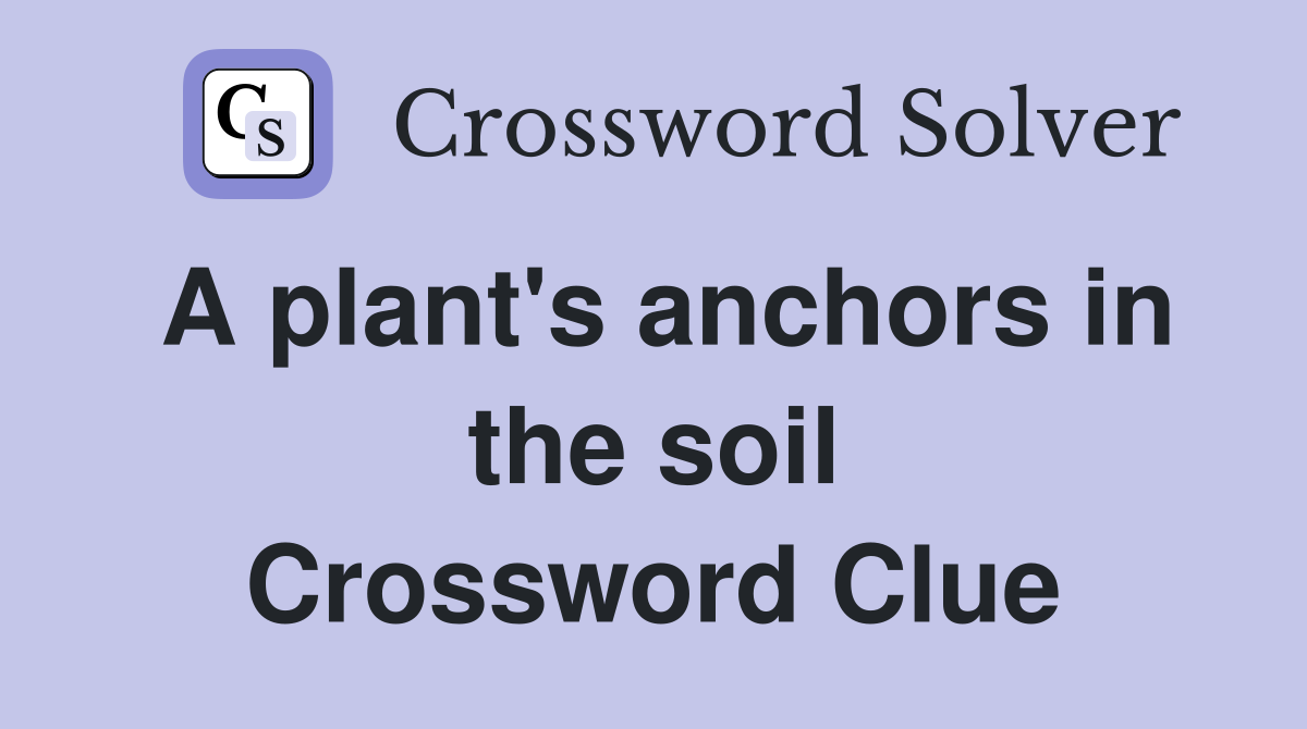A plant's anchors in the soil Crossword Clue