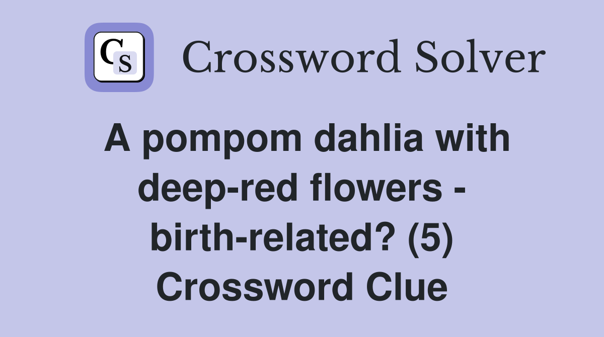 A pompom dahlia with deep-red flowers - birth-related? (5) Crossword Clue