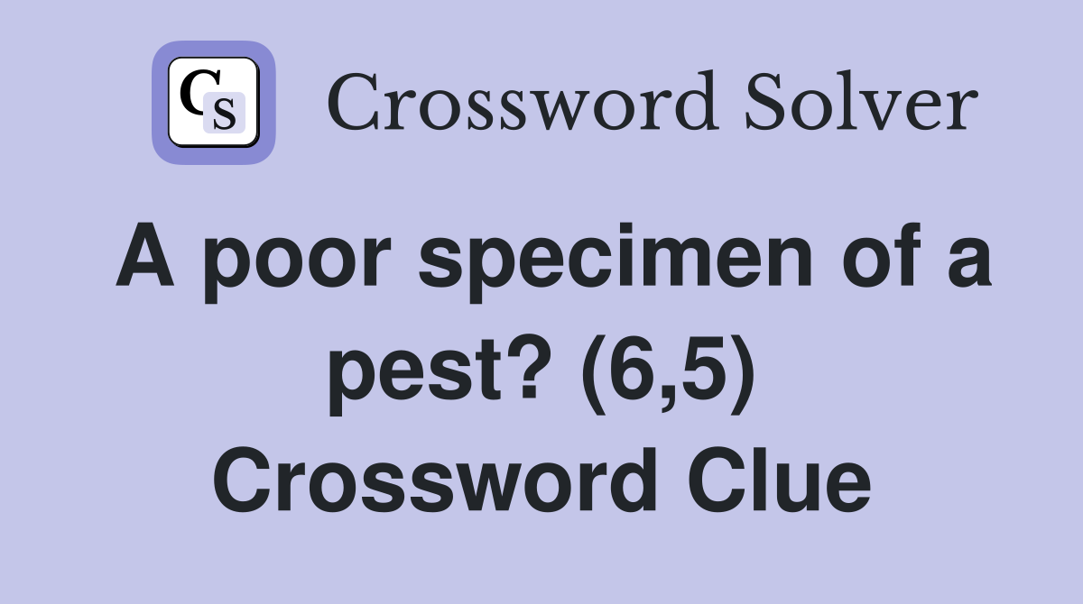 A poor specimen of a pest? (6,5) Crossword Clue