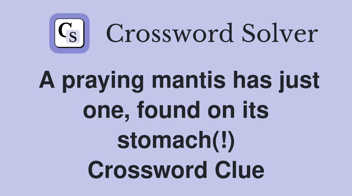 A praying mantis has just one, found on its stomach(!) Crossword Clue
