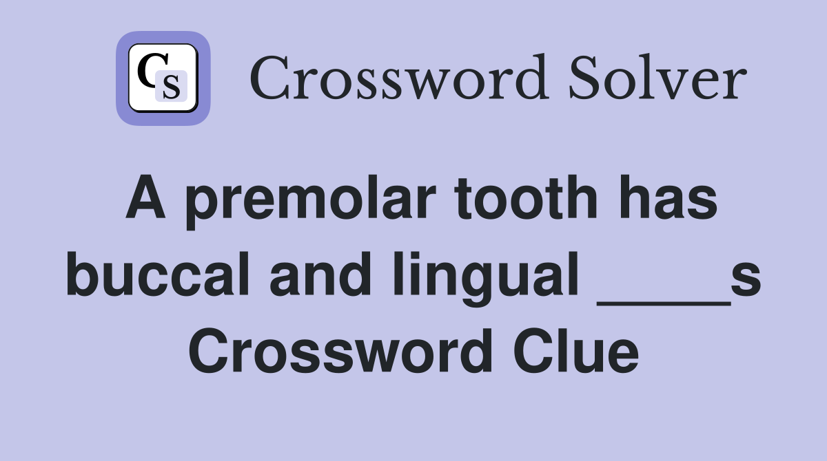 A premolar tooth has buccal and lingual ____s Crossword Clue