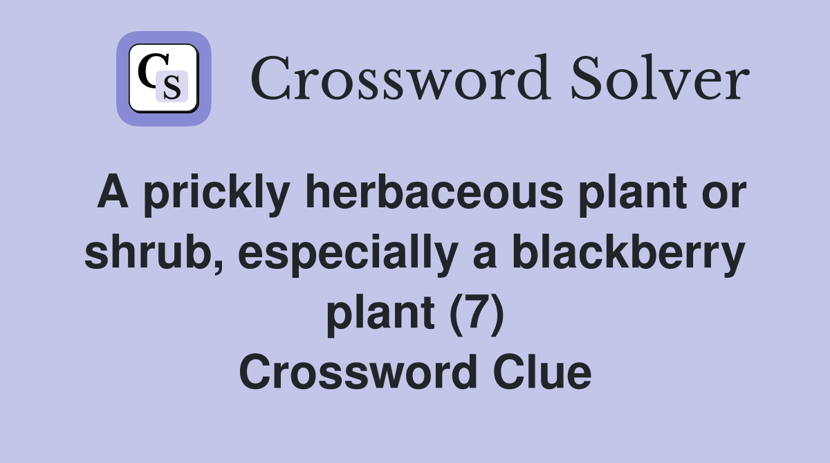A prickly herbaceous plant or shrub, especially a blackberry plant (7) Crossword Clue