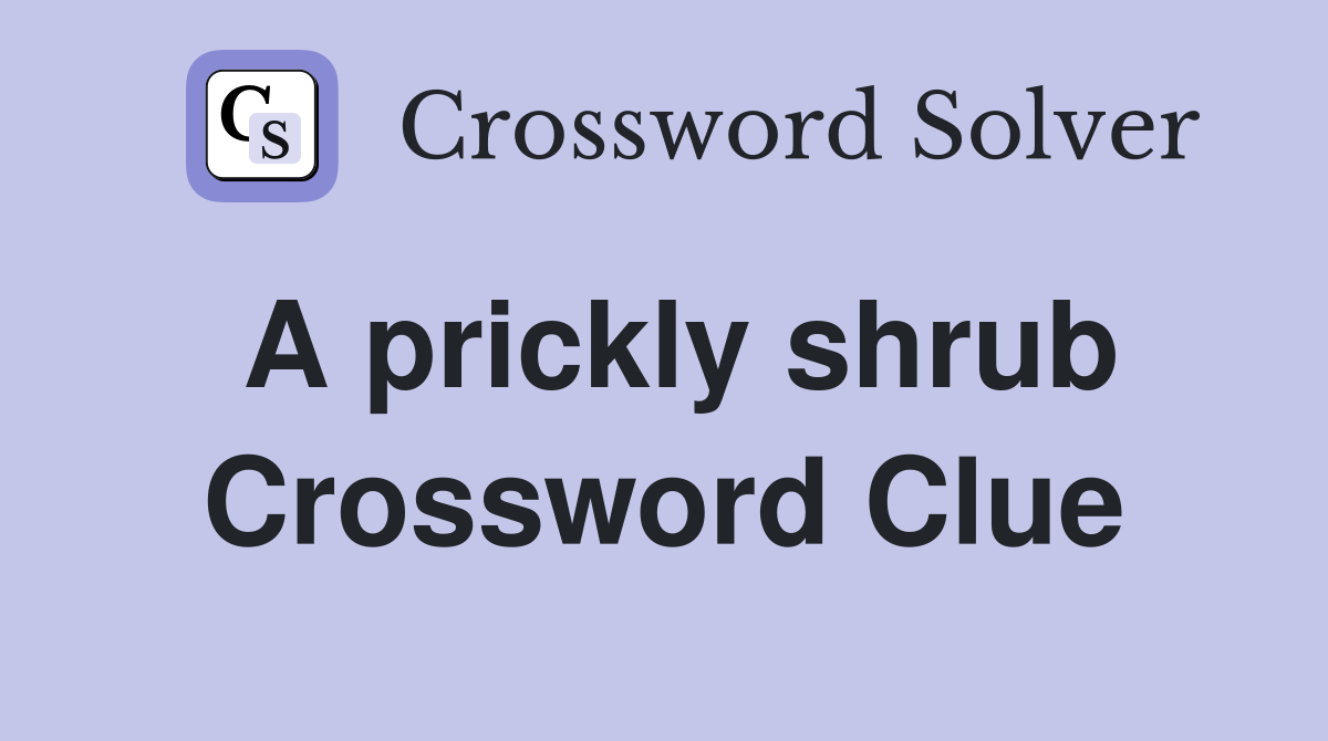 A prickly shrub Crossword Clue