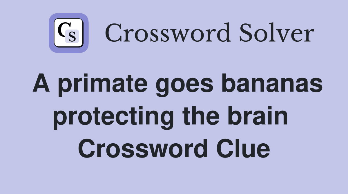 A primate goes bananas protecting the brain  Crossword Clue