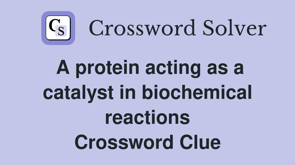 A protein acting as a catalyst in biochemical reactions Crossword Clue