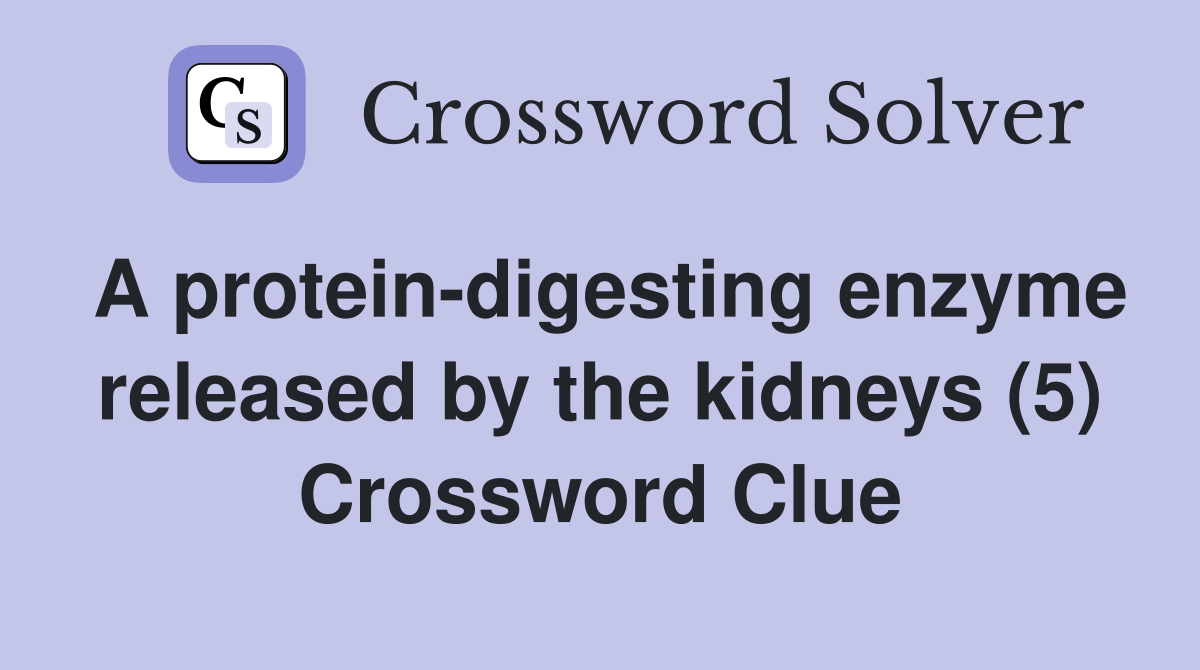 A protein-digesting enzyme released by the kidneys (5) Crossword Clue