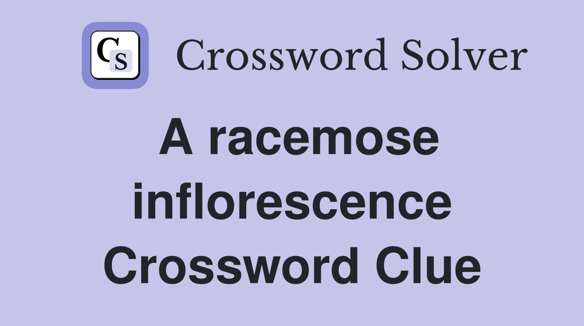 A racemose inflorescence Crossword Clue