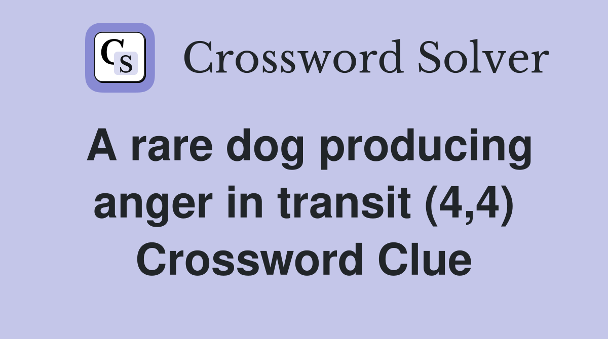 A rare dog producing anger in transit (4,4) Crossword Clue