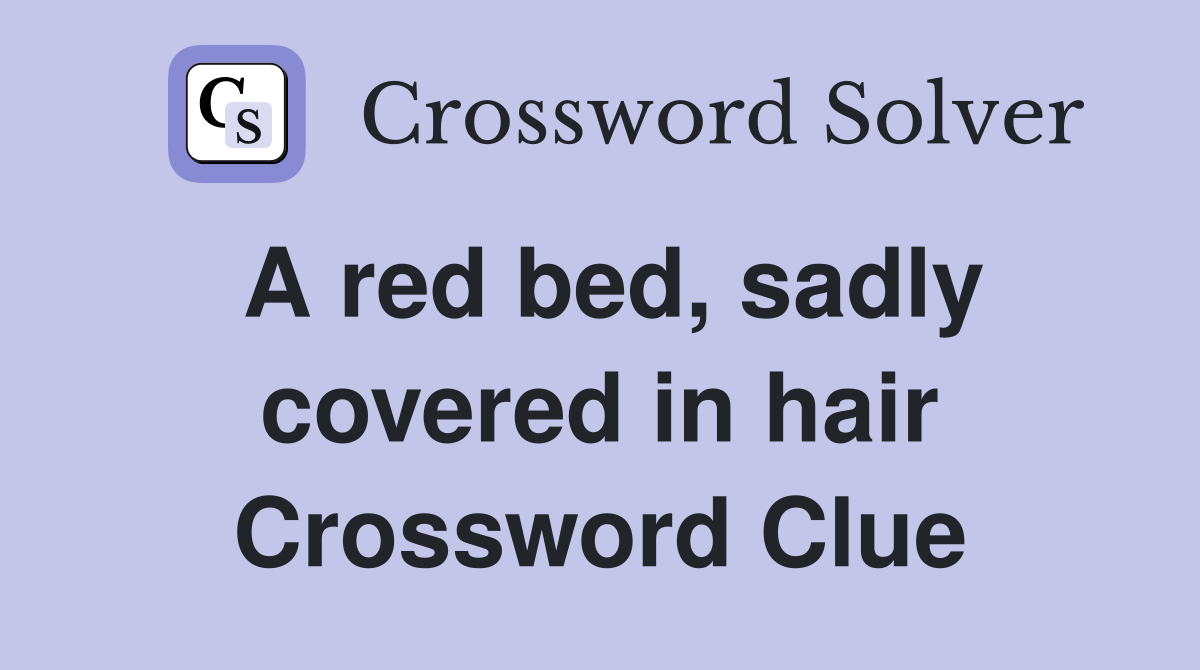 A red bed, sadly covered in hair Crossword Clue