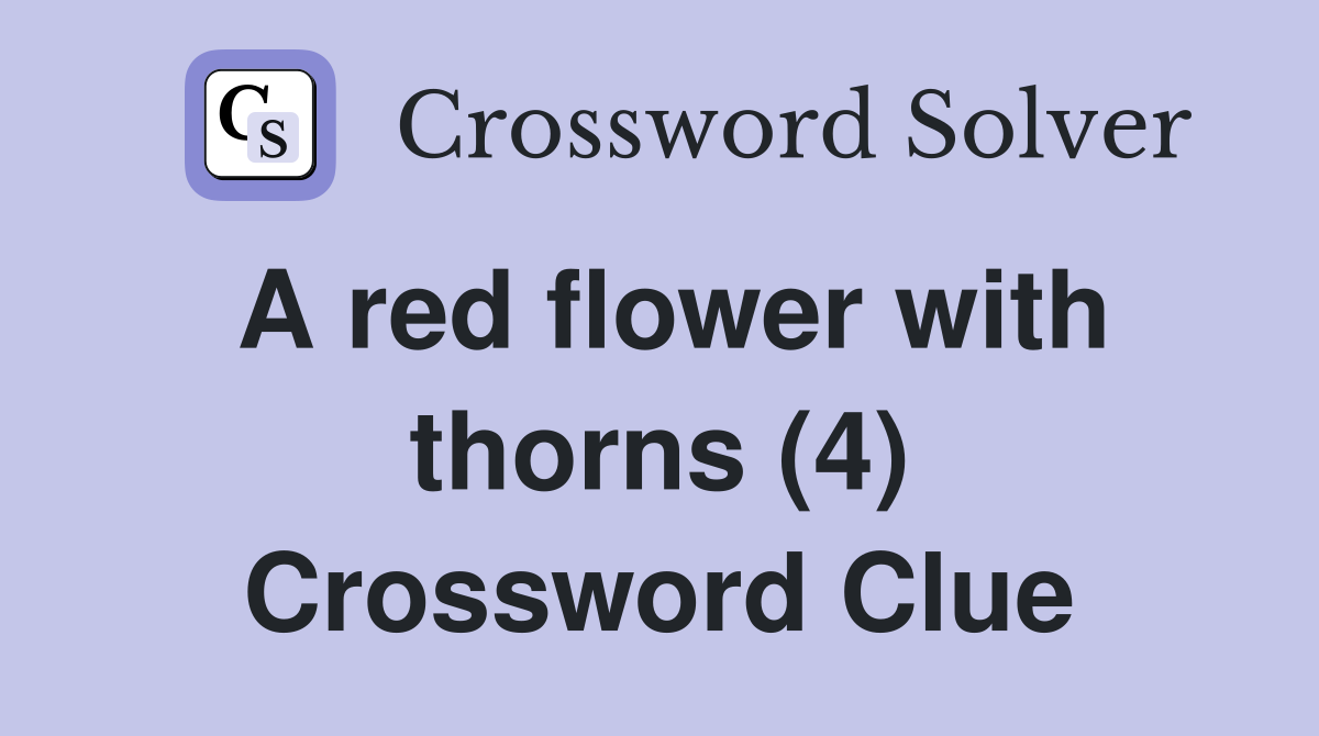A red flower with thorns (4) Crossword Clue