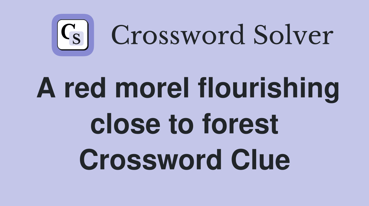 A red morel flourishing close to forest Crossword Clue