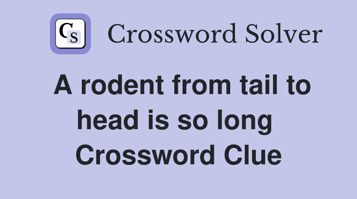 A rodent from tail to head is so long  Crossword Clue