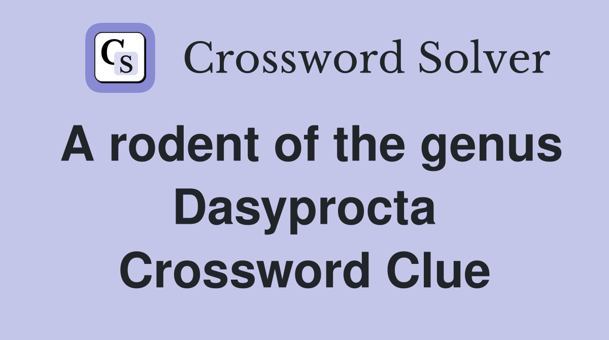 A rodent of the genus Dasyprocta Crossword Clue