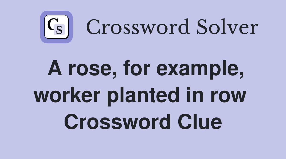 A rose, for example, worker planted in row  Crossword Clue