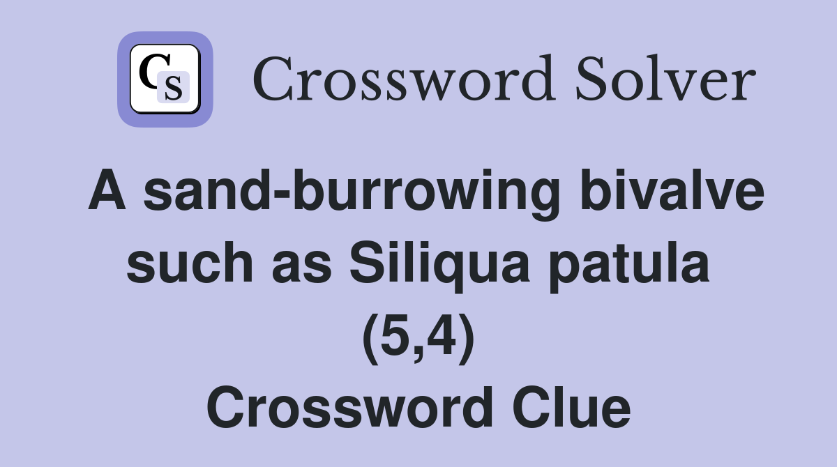 A sand-burrowing bivalve such as Siliqua patula (5,4) Crossword Clue