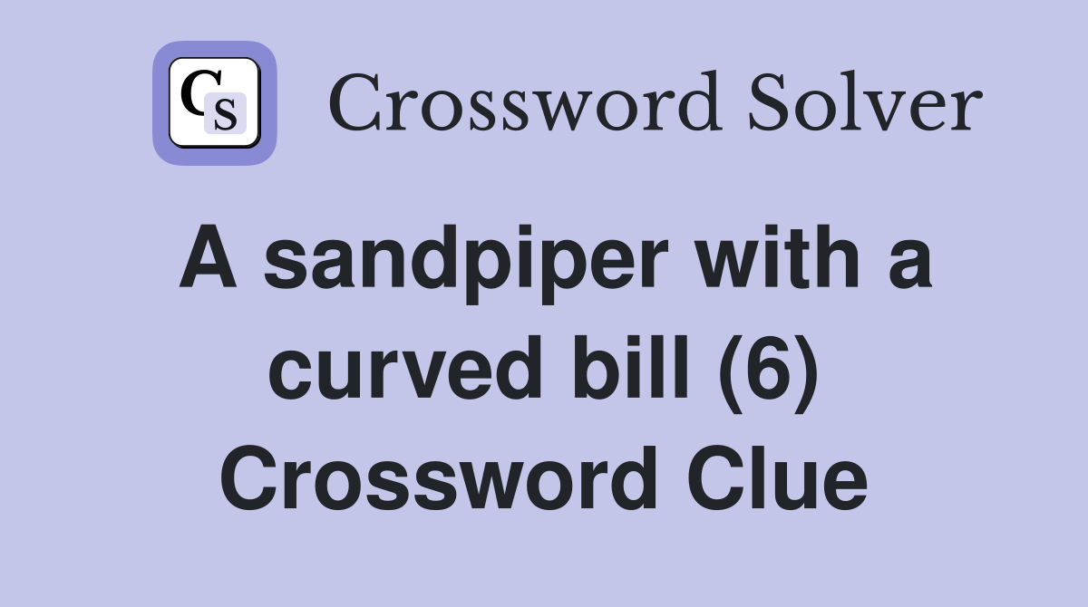 A sandpiper with a curved bill (6) Crossword Clue