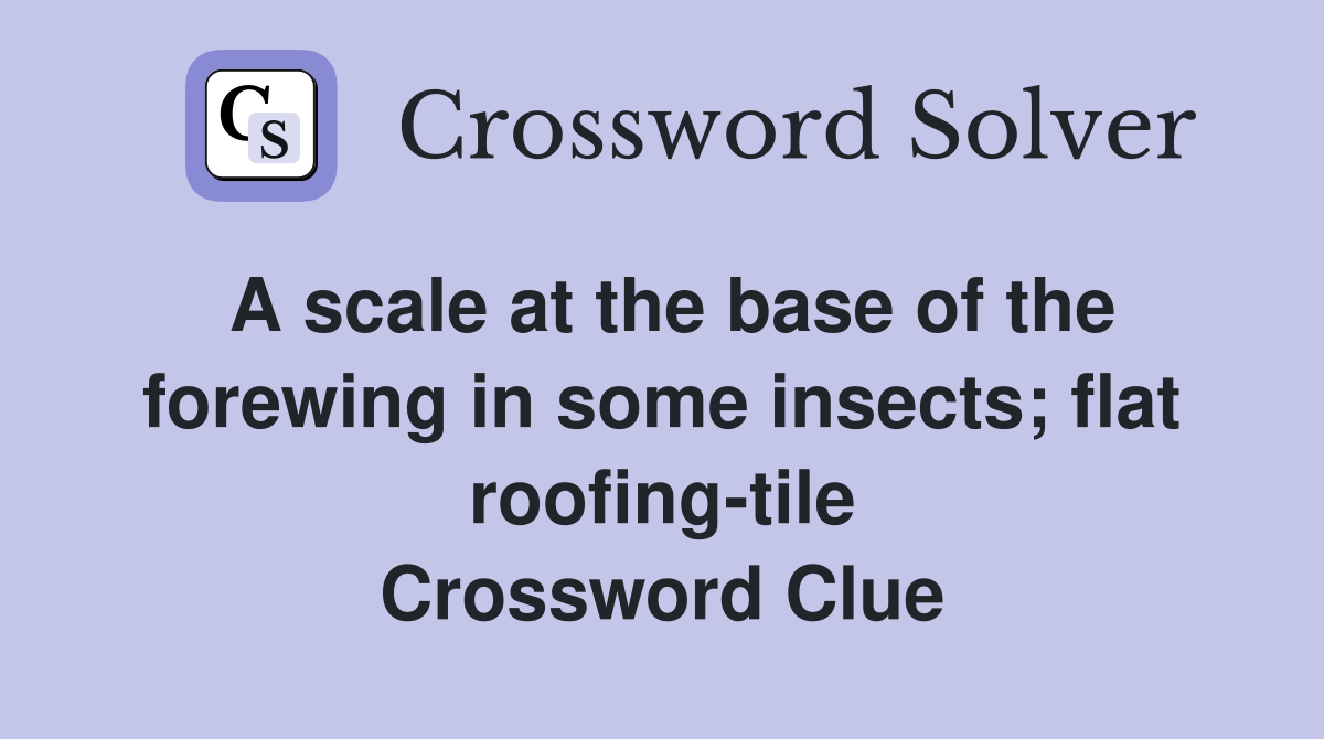 A scale at the base of the forewing in some insects; flat roofing-tile Crossword Clue