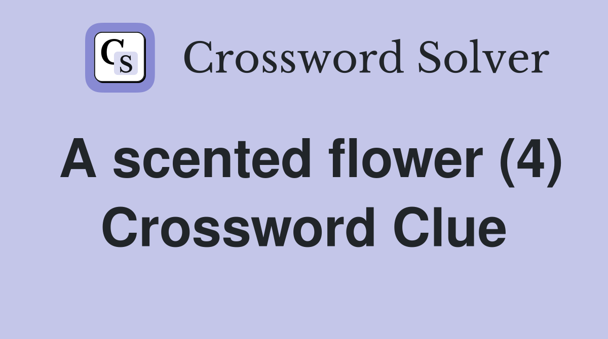 A scented flower (4) Crossword Clue