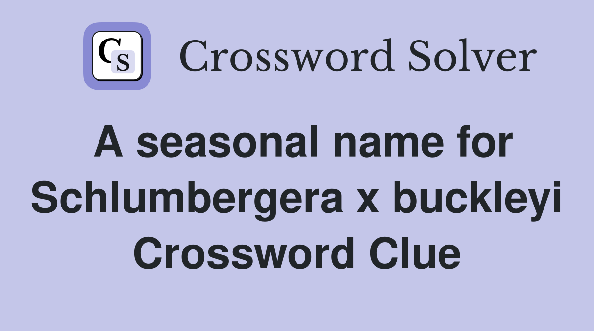 A seasonal name for Schlumbergera x buckleyi Crossword Clue