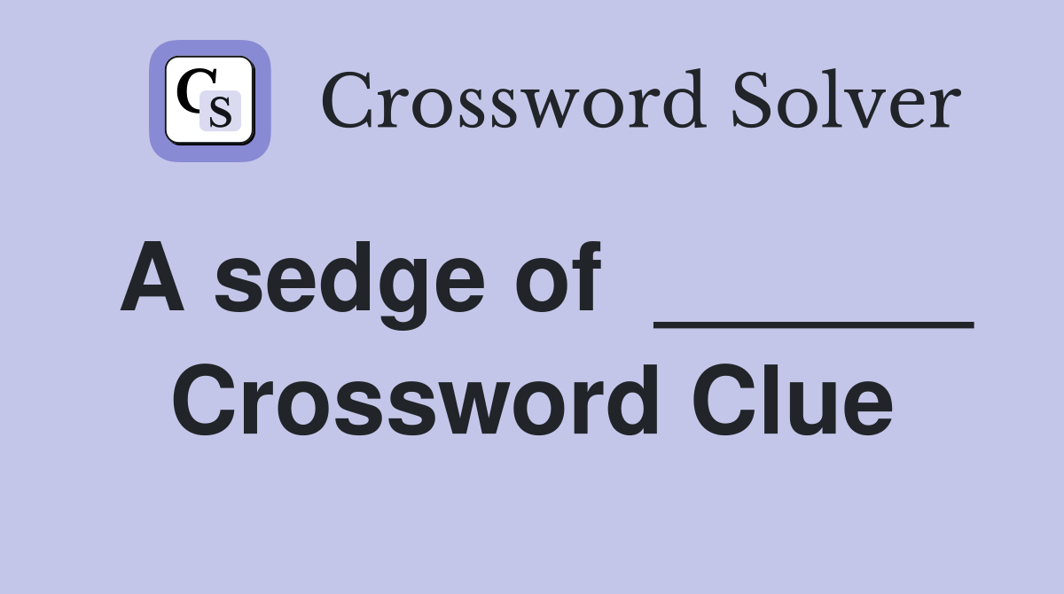 A sedge of  ______ Crossword Clue