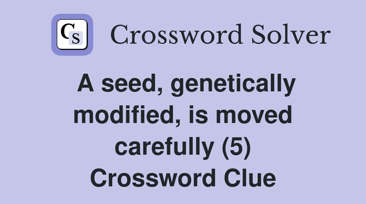 A seed, genetically modified, is moved carefully (5) Crossword Clue