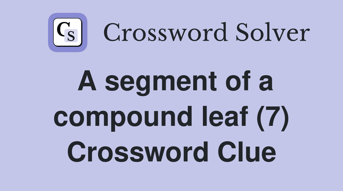 A segment of a compound leaf (7) Crossword Clue