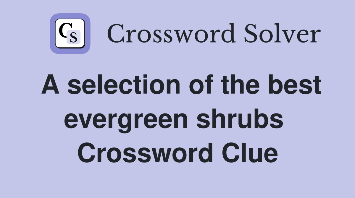 A selection of the best evergreen shrubs  Crossword Clue
