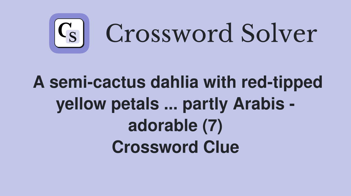 A semi-cactus dahlia with red-tipped yellow petals ... partly Arabis - adorable (7) Crossword Clue