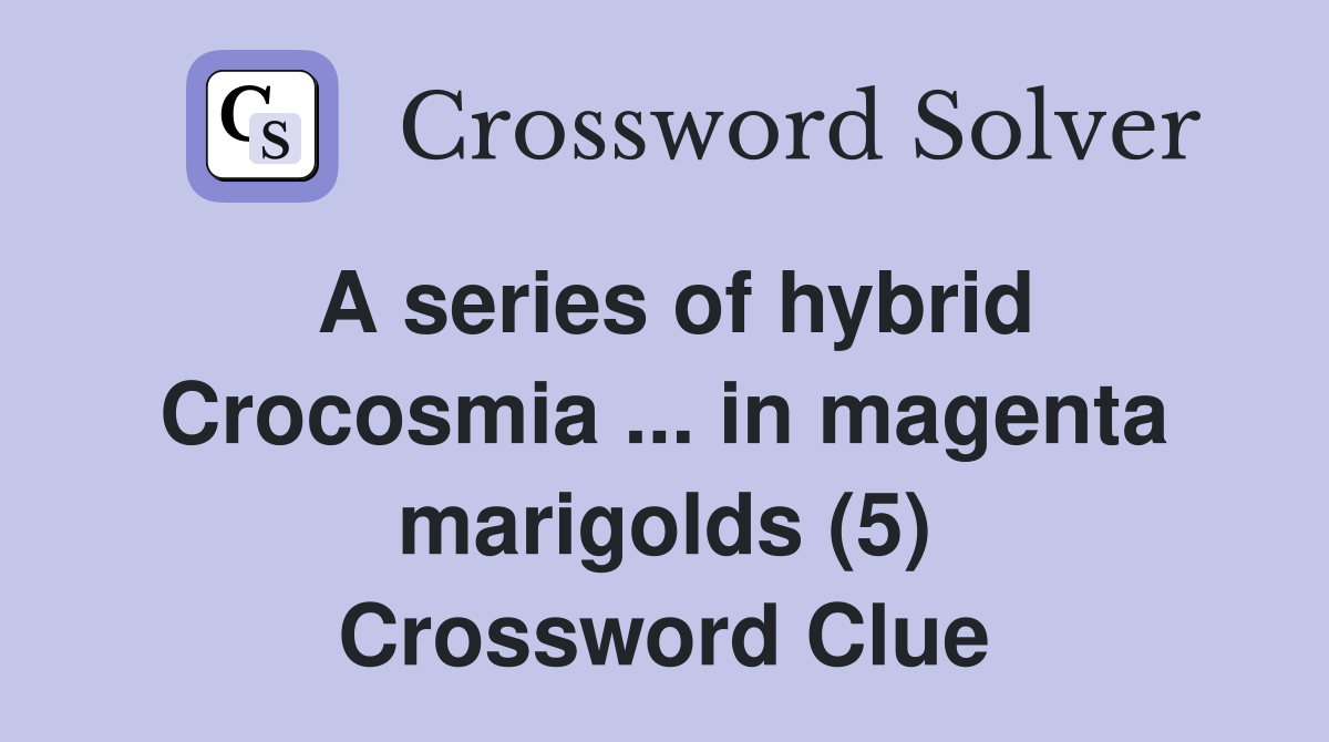 A series of hybrid Crocosmia ... in magenta marigolds (5) Crossword Clue