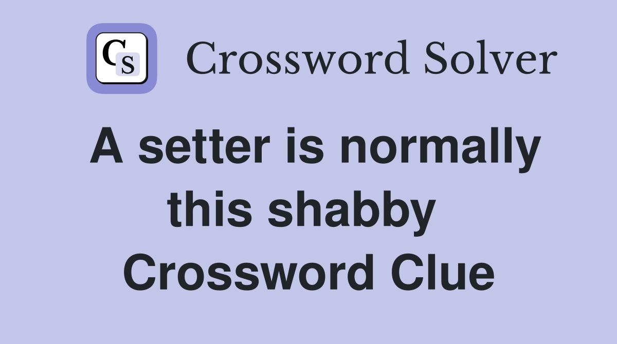 A setter is normally this shabby  Crossword Clue