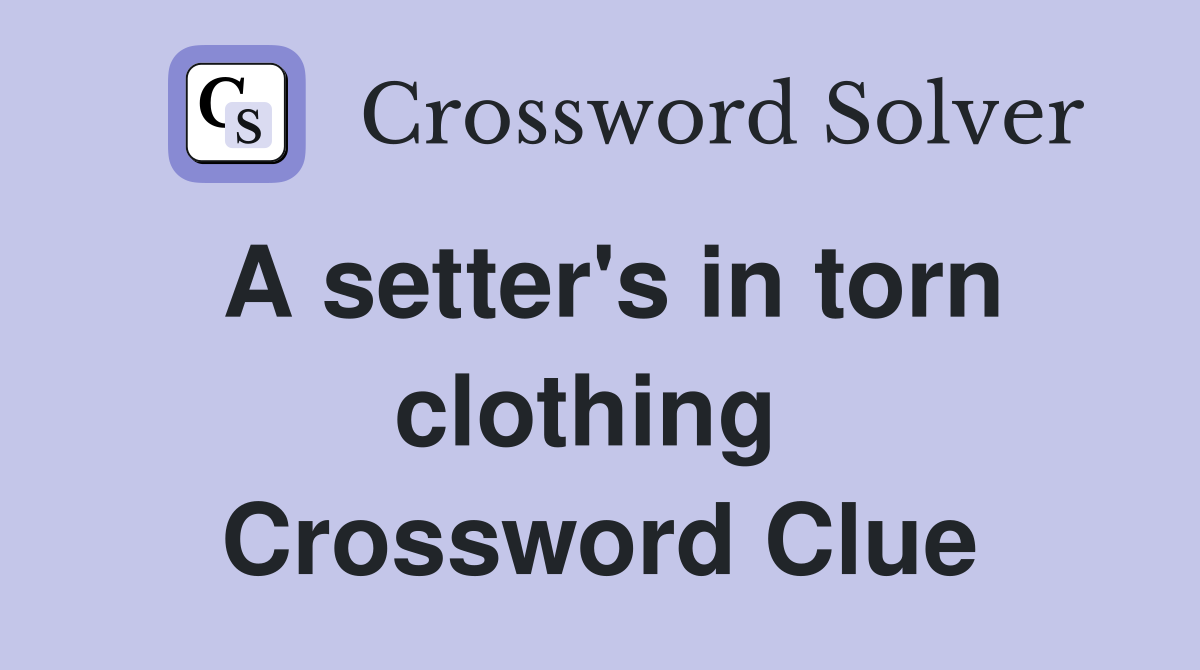 A setter's in torn clothing  Crossword Clue