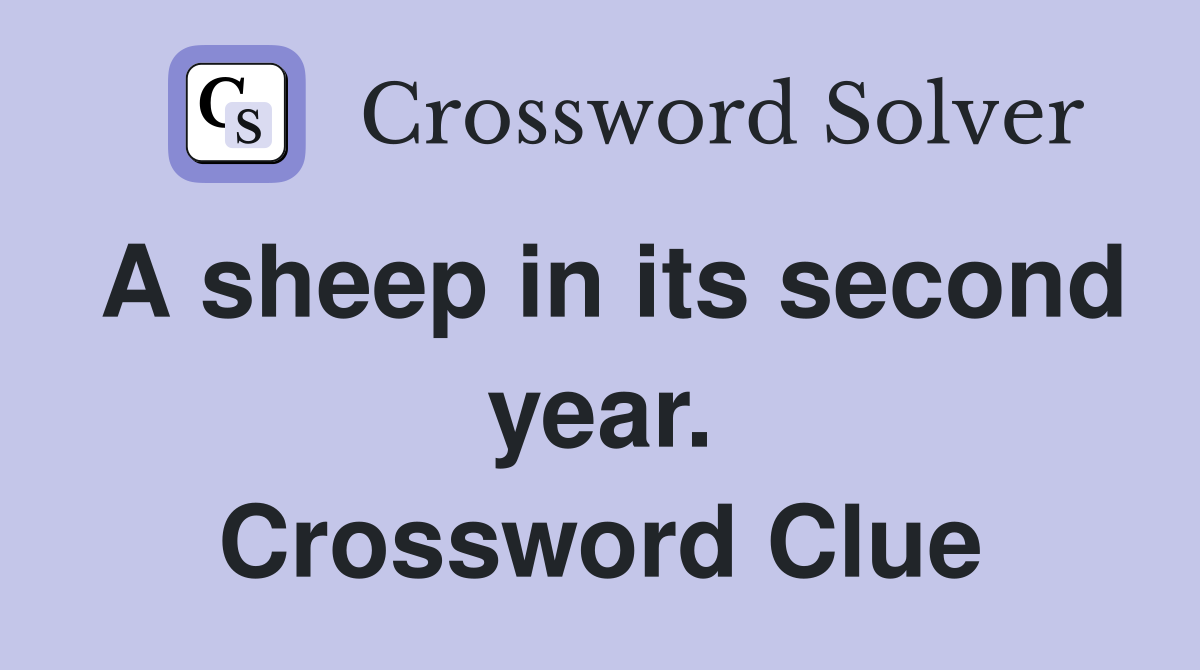 A sheep in its second year. Crossword Clue