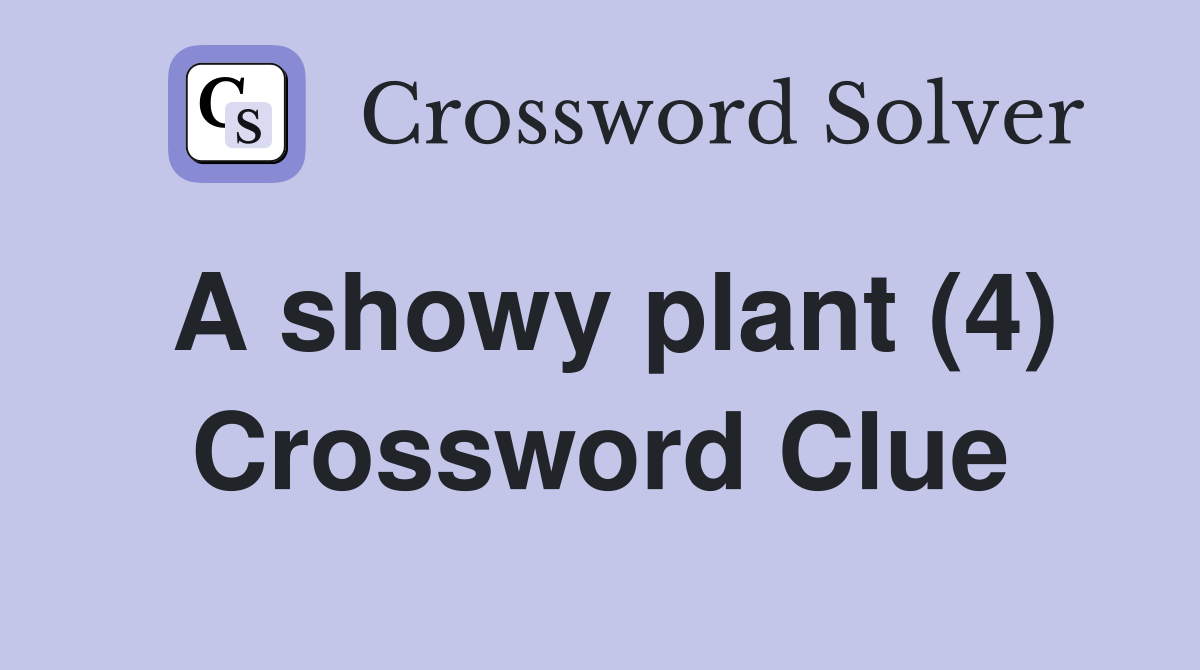 A showy plant (4) Crossword Clue